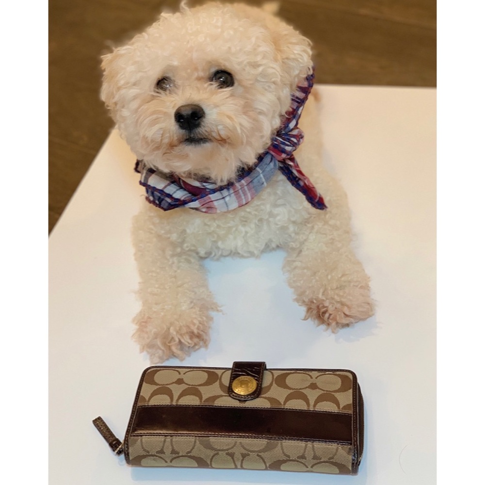 Coach signature wallet